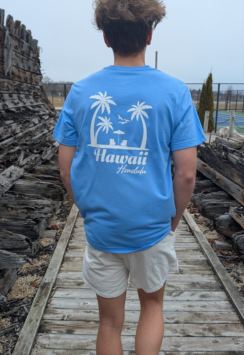Hawaii Graphic T-Shirt